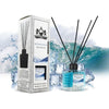 Lion Francesco Ocean Scent reed diffuser 150 ml bottle with rattan sticks and white gift box