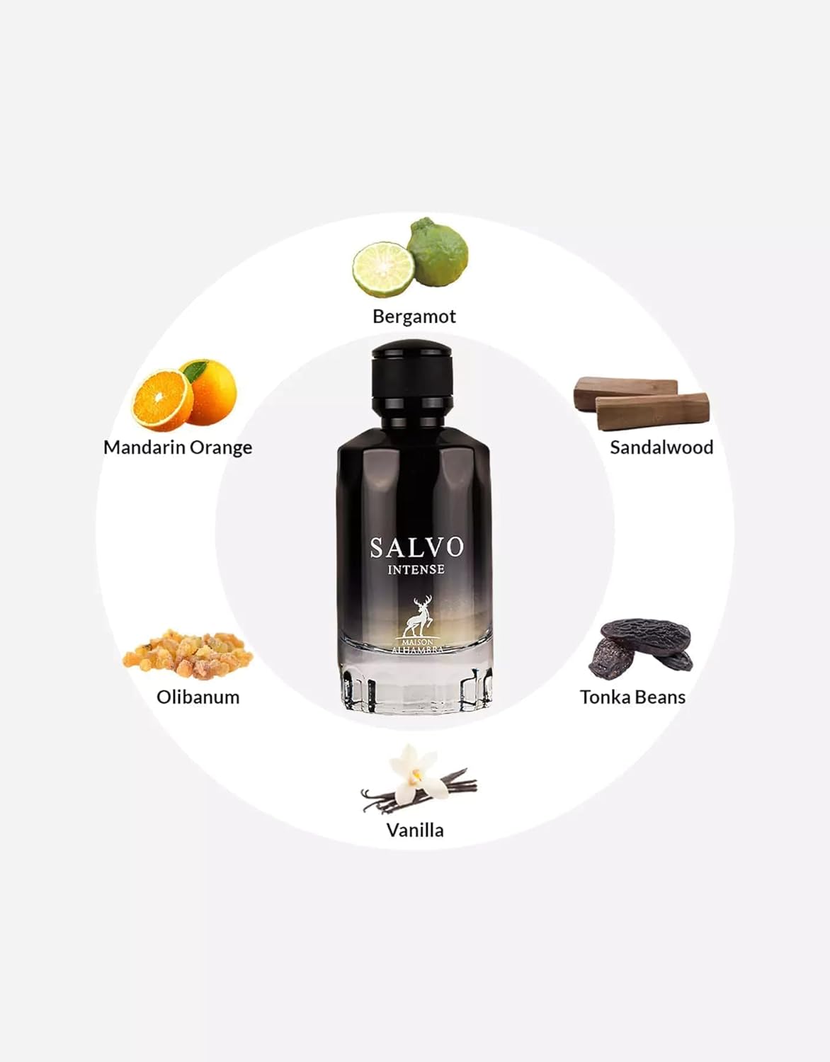 Salvo Intense di Maison Alhambra, EDP 100 ml da uomo