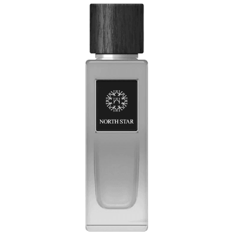 The Woods Collection Natural North Star parfüümvesi vesi meestele 100ml - Royalparfume The Woods Collection 